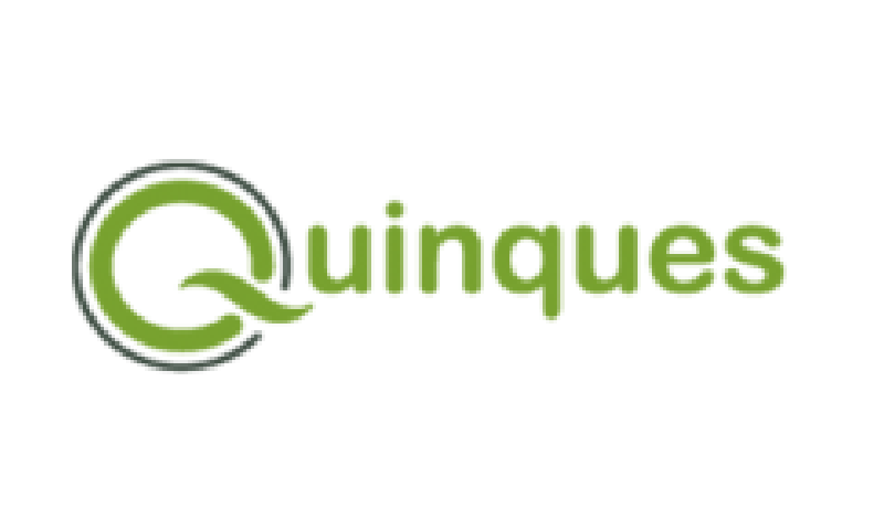 A black background with the word quinque written in green.